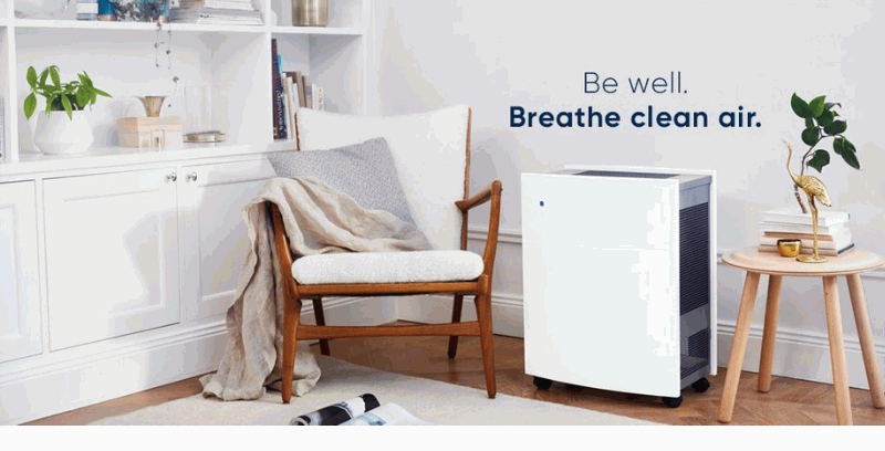 Why You Need an Air Purifier